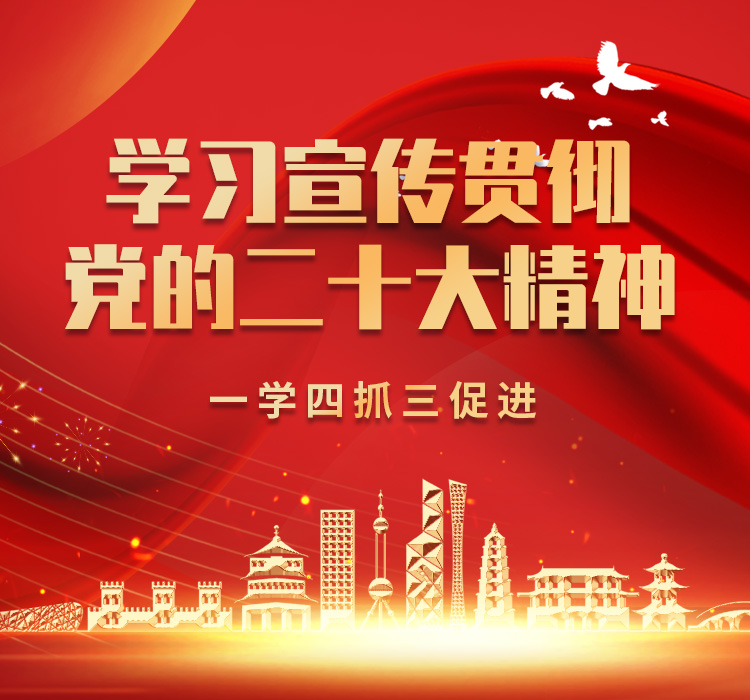 二十大精神